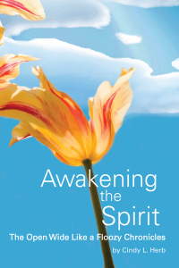 Cover image: Awakening the Spirit 9781933651378