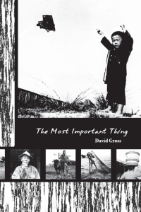 Titelbild: The Most Important Thing 9781933651439