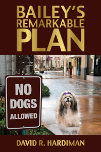 Immagine di copertina: Bailey's Remarkable Plan 9781612544182
