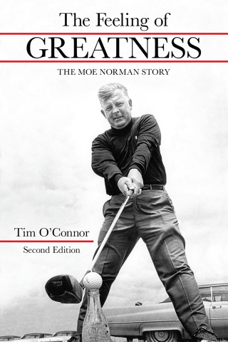 Cover image: The Feeling of Greatness 2nd edition 9781612549477