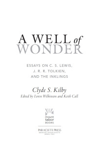 Cover image: A Well of Wonder 9781612618623