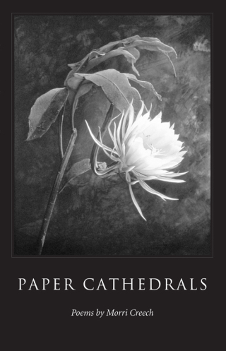 Cover image: Paper Cathedrals 9780873387163