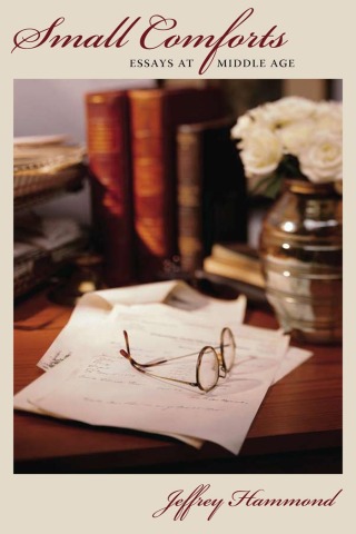 Imagen de portada: Small Comforts 9780873389464