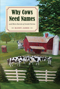 Omslagafbeelding: Why Cows Need Names 9781606351680