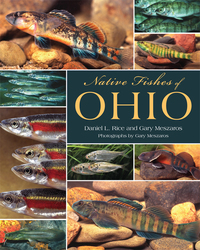 表紙画像: Native Fishes of Ohio