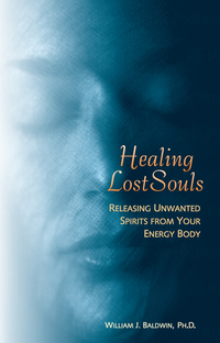 Omslagafbeelding: Healing Lost Souls 9781571743664