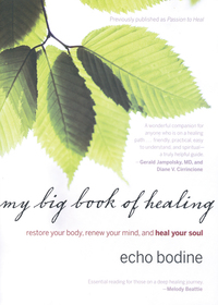 Cover image: My Big Book of Healing 9781571745880