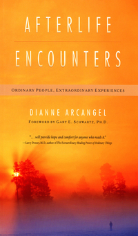 Cover image: Afterlife Encounters 9781571744364