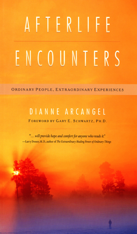 Afterlife Encounters: Ordinary People, Extraordinary Experiences - FULL INSTANT DOWNLOAD | PDF DOCX EPUB