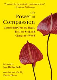 Imagen de portada: The Power of Compassion 9781571746290