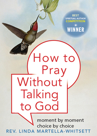 Omslagafbeelding: How to Pray Without Talking to God 9781571746689