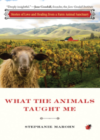 Imagen de portada: What the Animals Taught Me 9781571746573