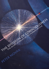 Cover image: The Division of Consciousness 9781571740533