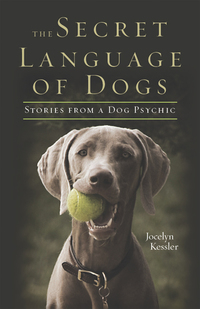 Titelbild: The Secret Language of Dogs 9781571746832