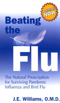 Omslagafbeelding: Beating the Flu 9781571745071