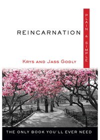 Cover image: Reincarnation Plain & Simple 9781571747600