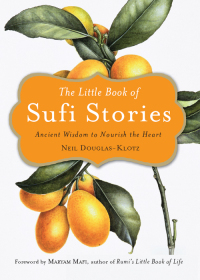 Imagen de portada: The Little Book of Sufi Stories 9781571748294