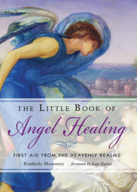 Titelbild: The Little Book of Angel Healing 9781642970029