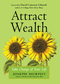 Cover image: Attract Wealth 9781642970333