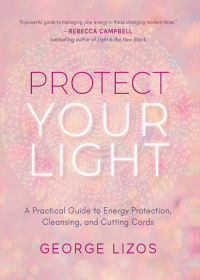 表紙画像: Protect Your Light 9781642970432