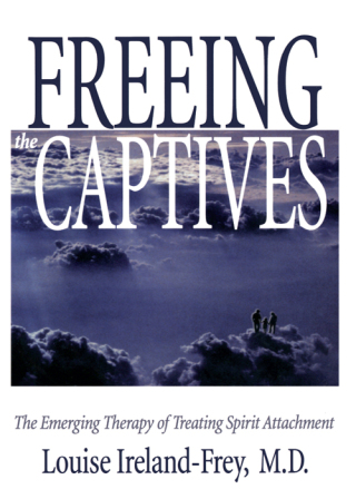 Cover image: Freeing the Captives 9781571741363