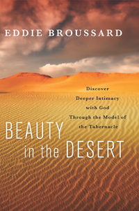 Cover image: Beauty in the Desert 9781617471582