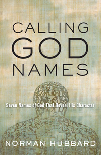 صورة الغلاف: Calling God Names 9781617478352