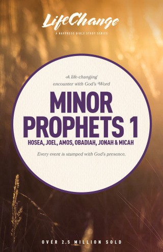表紙画像: Minor Prophets 1 9781612910765
