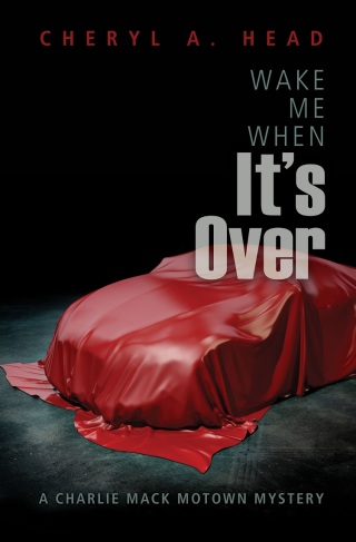 Cover image: Wake Me When It's Over 9781612941158