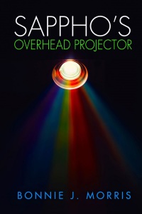 Imagen de portada: Sappho's Overhead Projector 9781612941394