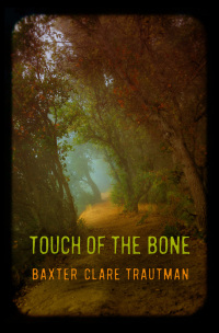 Omslagafbeelding: Touch of the Bone 9781612942711
