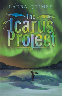 Cover image: The Icarus Project 9781419704024