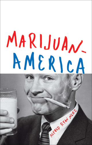 Cover image: Marijuanamerica 9781419704086