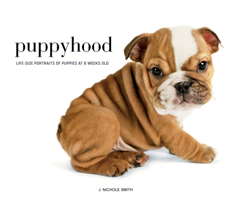 Puppyhood: Life-size Portraits of Puppies at 6 Weeks Old - FULL INSTANT DOWNLOAD | PDF DOCX EPUB