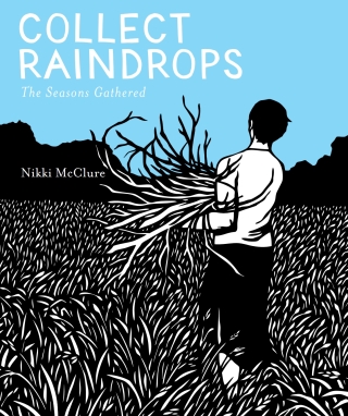 صورة الغلاف: Collect Raindrops 9781419711671
