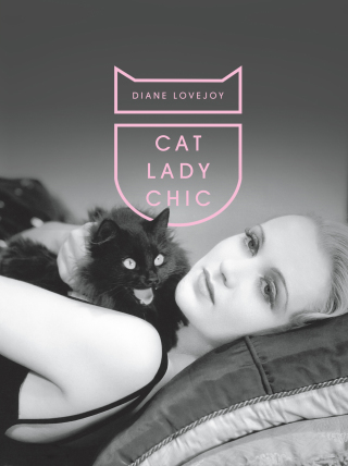 Titelbild: Cat Lady Chic 9781419714023