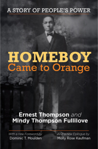 Omslagafbeelding: Homeboy Came to Orange 9781613320327