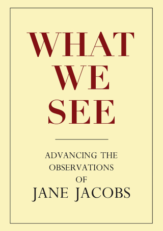 表紙画像: What We See 9780981559315