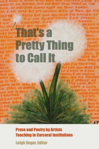 Cover image: That's a Pretty Thing to Call It 9781613322116