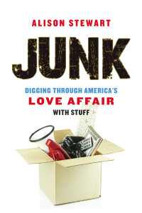 Cover image: Junk 1st edition 9781613730553