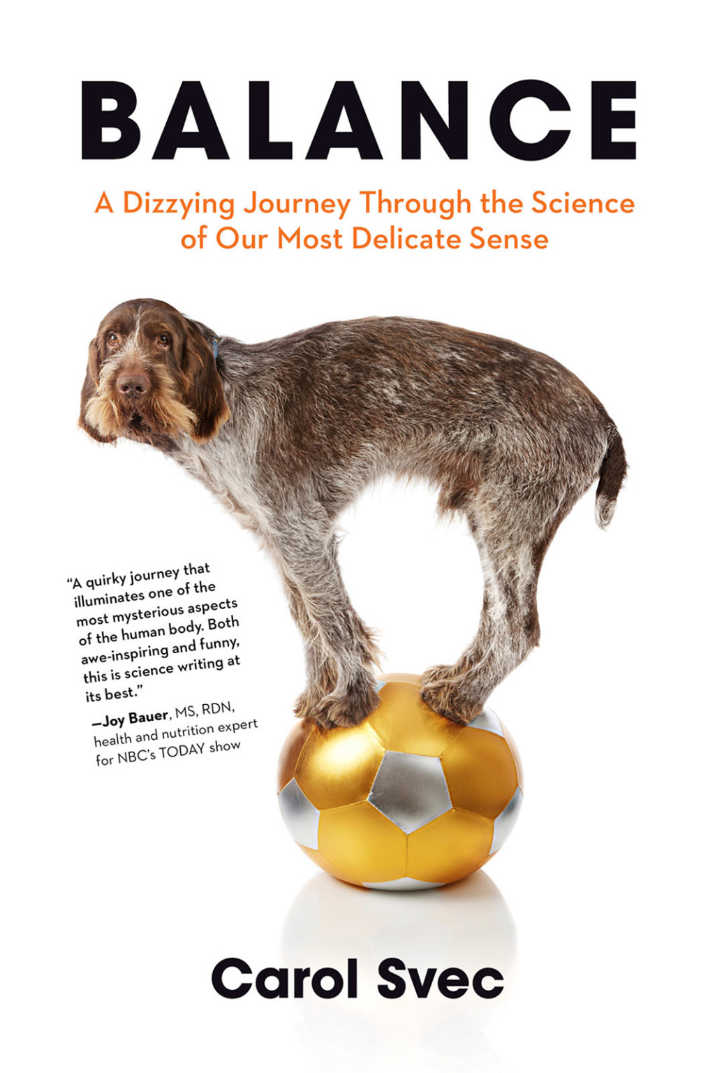 Balance A Dizzying Journey Through the Science of Our Most Delicate Sense 1st Edition