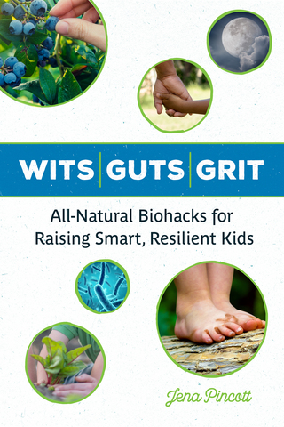 Imagen de portada: Wits Guts Grit 1st edition 9781613736883