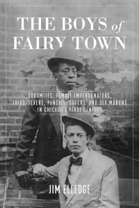 Cover image: The Boys of Fairy Town 1st edition 9781613739358