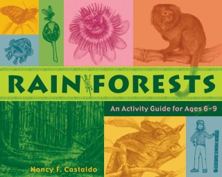 Cover image: Rainforests 9781556524769