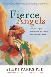 Cover image: Fierce Angels 9781613745045