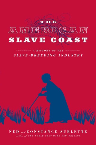 Titelbild: The American Slave Coast 9781613748206