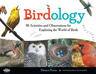 Titelbild: Birdology 9781613749494