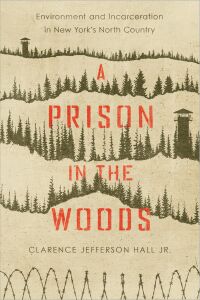 Immagine di copertina: A Prison in the Woods 9781625345363