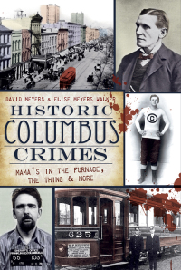 Cover image: Historic Columbus Crimes 9781596292154