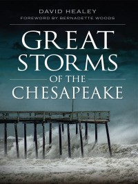 表紙画像: Great Storms of the Chesapeake 9781609494049